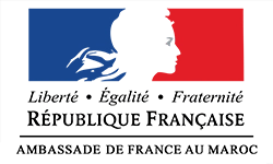 ambassade de france au burundi la marianne seeklogo